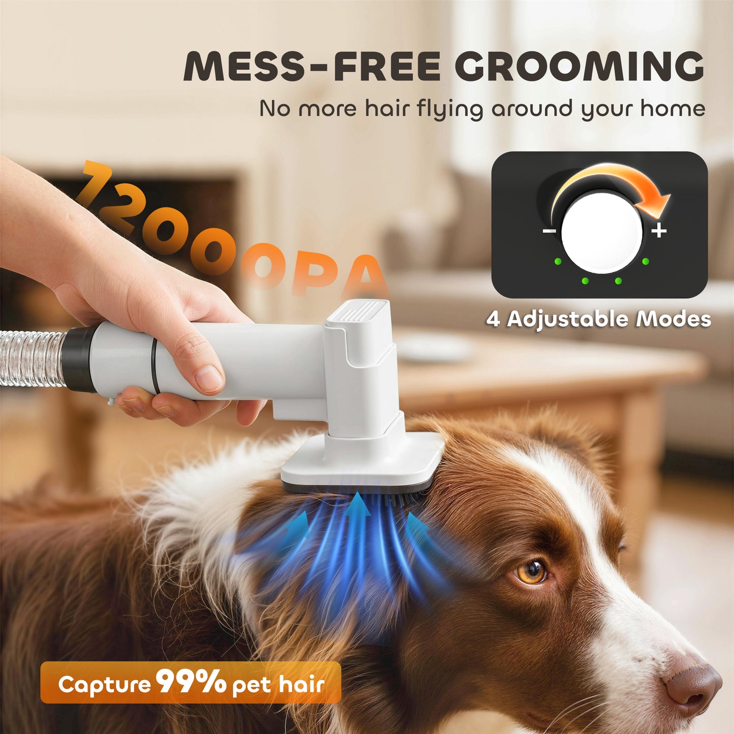 Whisper 5-in-1 Pet Grooming Station